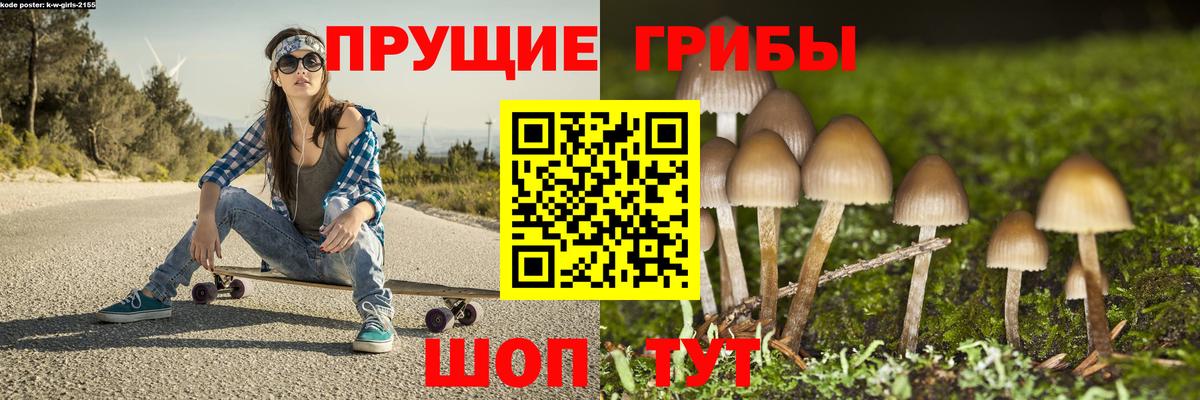 Псилоцибиновые грибы Psilocybine cubensis  Галлюциногенные грибы прущие грибы  Торжок  Вход с VPN 